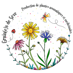 Production de Plantes Aromatiques et Médicinales au cœur des montagnes des Hautes Pyrénées