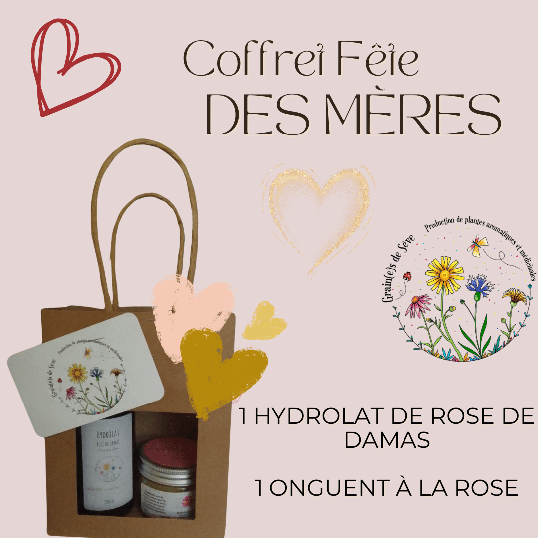 Tisanes - Infusion aromatiques - Coffret de semences – Le nutritionniste urbain Tisanes - Infusion aromatiques - Coffret de semences – Le nutritionniste urbain